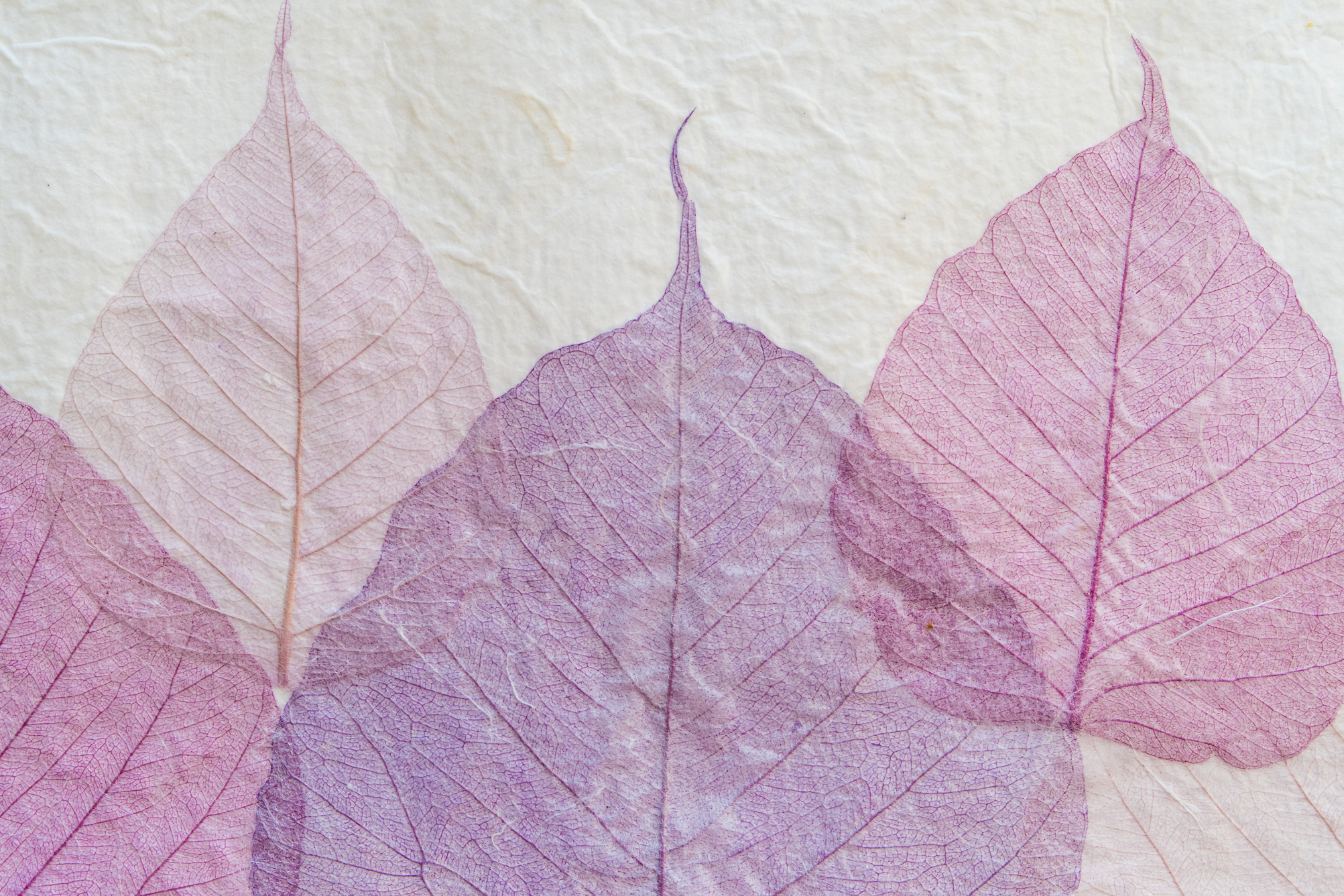 Japanese Handmade Paper